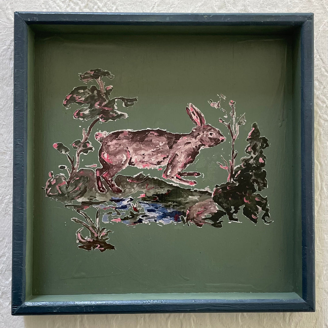 Hase