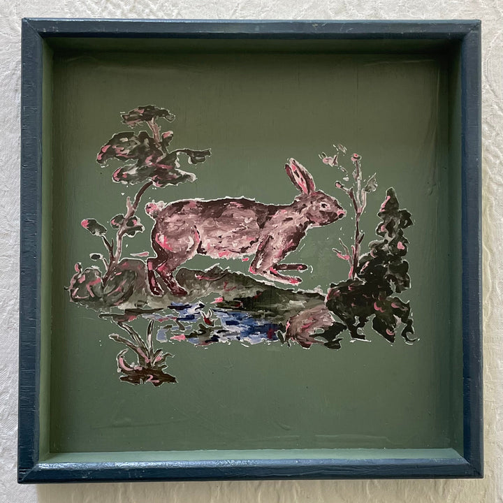 Hase
